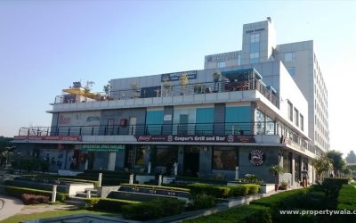 Xogene Opens New Location in Gurgaon!